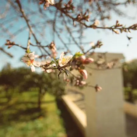 Bed & Breakfast Masseria Gagliardi Taranto